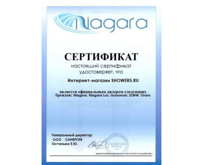 Душевая кабина Niagara Lux 7744G золото